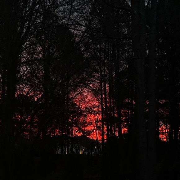sarahscloset_19